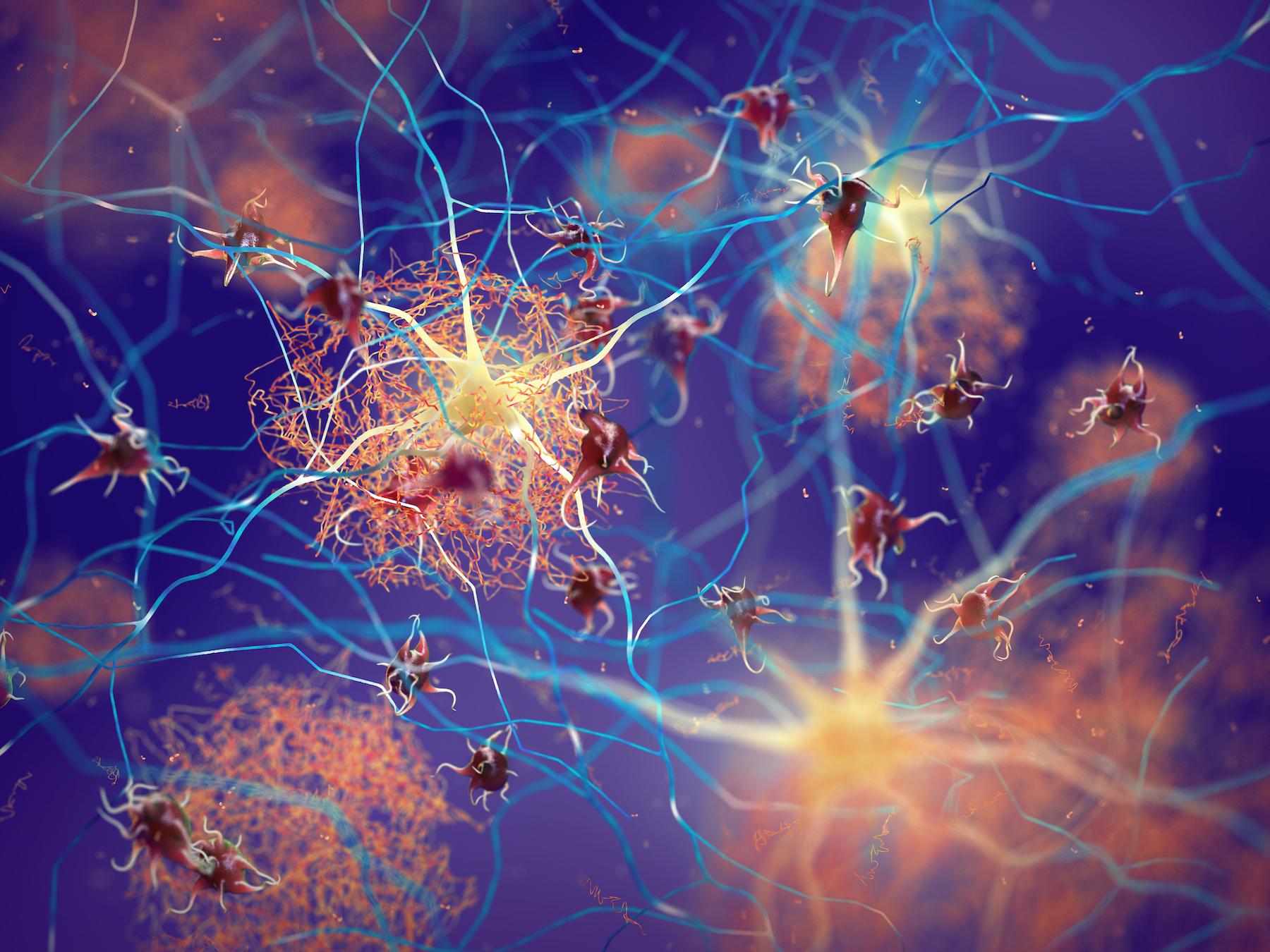 Estradiol EIA | Oxford Biomedical Research